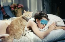 Cat and Holly Golightly (Audrey Hepburn)